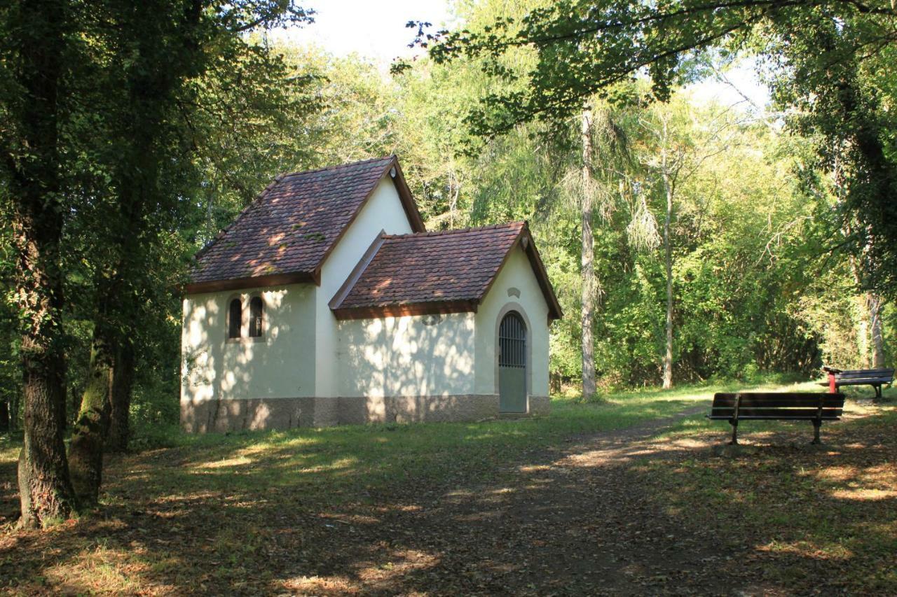 Villa Bonheur Illfurth Alsace 4 Chambres Екстер'єр фото